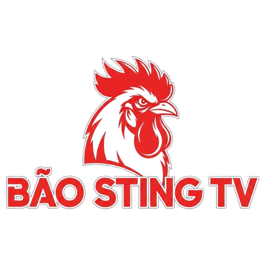 Logo-Bao-Sting-TV